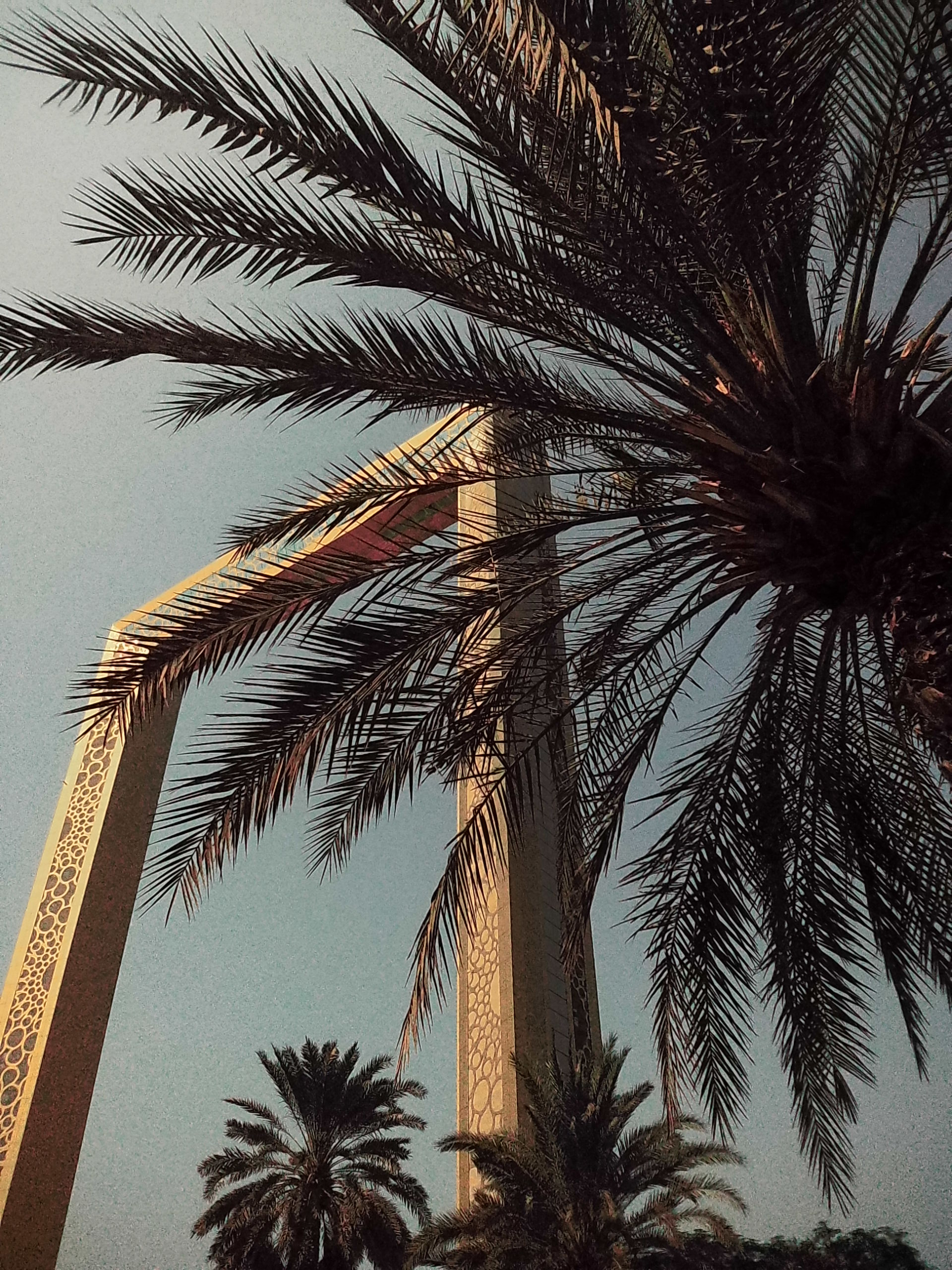 My First Experience in Dubai feat SB19 Concert